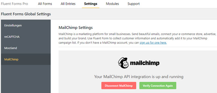 Fluent Forms mailchimp Konfiguration